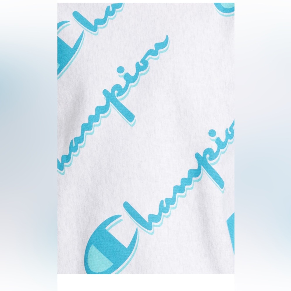 Champion Crewneck Sweatshirt - Picture 12 of 14